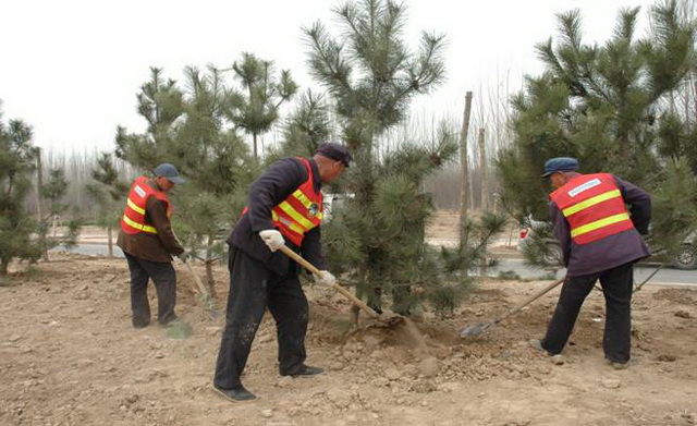 image015_縮小大小.jpg image015_縮小大小.jpg